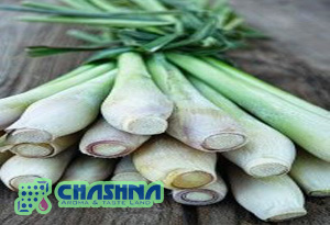 تولید و فروش عمده اسانس lemon grass